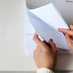 Недельный планер Фантазия, цвет Миксованный, KA104505 KA104505