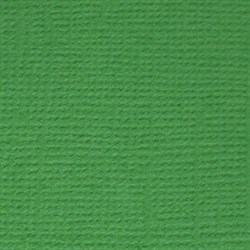 Лист однотонного кардстока Лесной папоротник (т. зеленый), арт. PST26 PST26