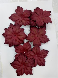 Лепестки пуансетии, 5см, 10 шт CLP50
