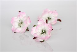 Набор Пионов с белым, 2 шт NCP2b