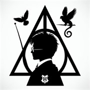 Картинка из термотрансферной пленки Гарри Поттер TTK061