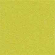Лист однотонного кардстока Зеленый чай (желто-зеленый), арт. PST45 PST45