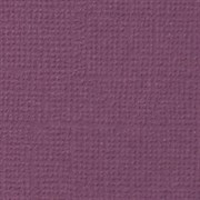 Лист однотонного кардстока Молодой виноград (фиолетовый), арт. PST12 PST12