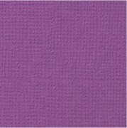 Лист однотонного кардстока Пряная лаванда (сиреневый), арт. PST13 PST13